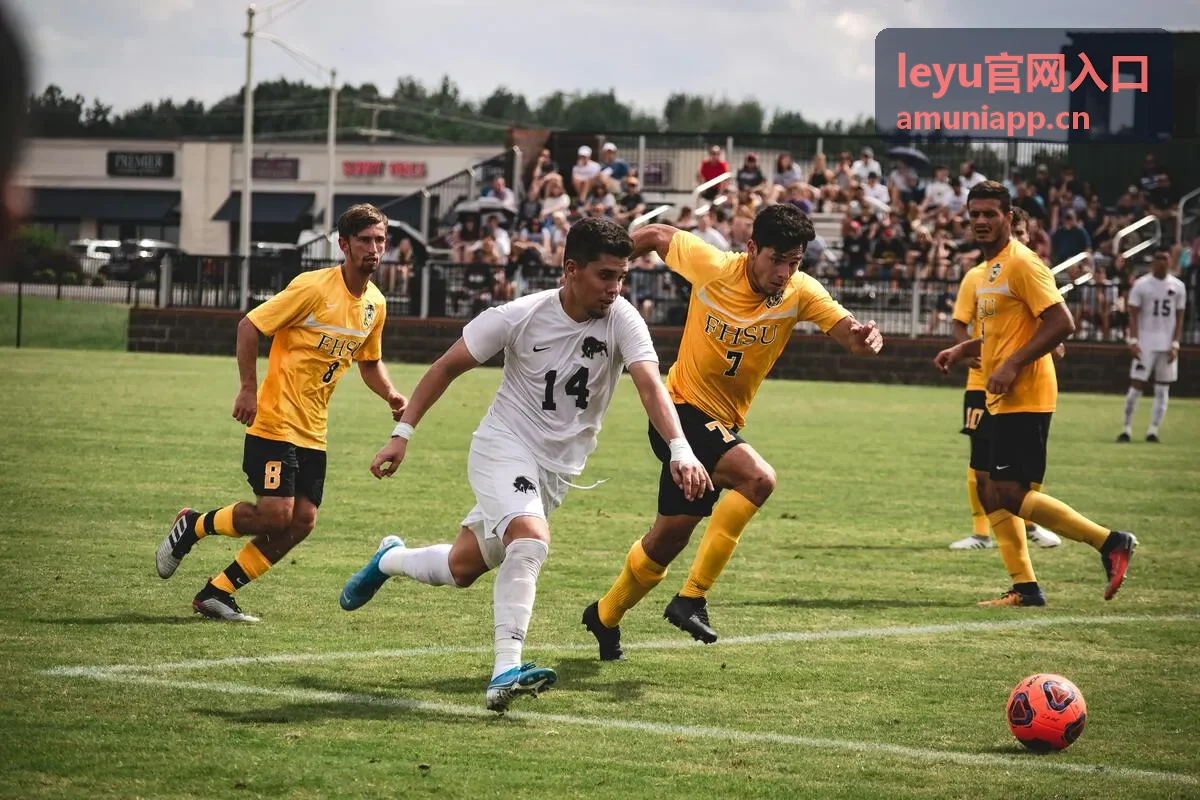 leyu官网入口娱乐内容指南封面
