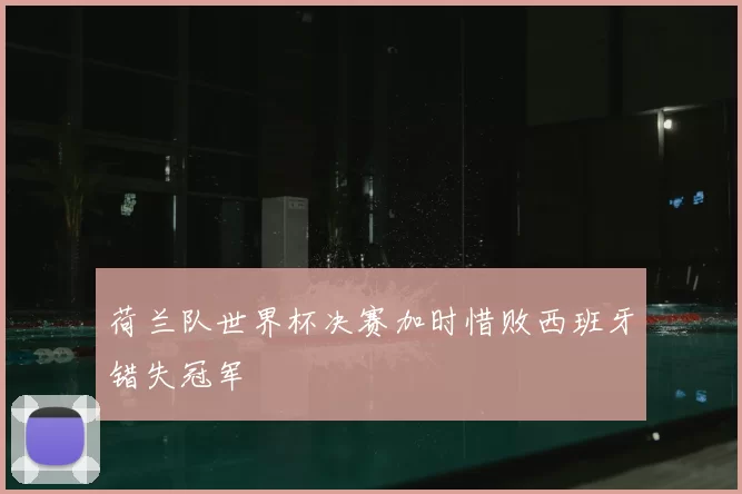 荷兰队世界杯决赛加时惜败西班牙错失冠军