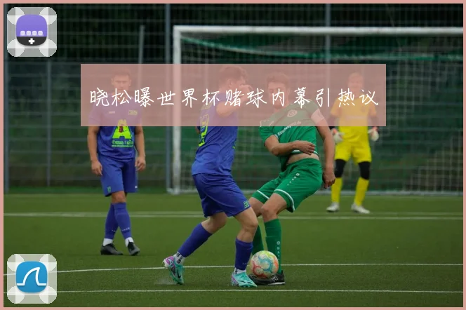 晓松曝世界杯赌球内幕引热议