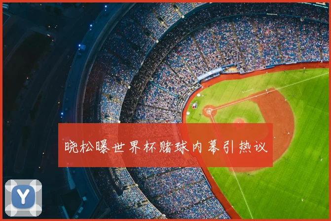 晓松曝世界杯赌球内幕引热议