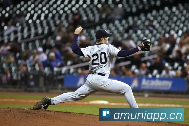 2021世界杯官网APP 高清赛事图